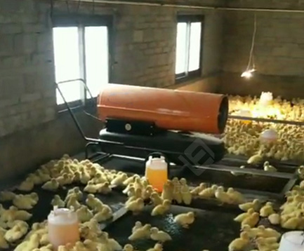 養(yǎng)殖暖風機 養(yǎng)殖暖風機